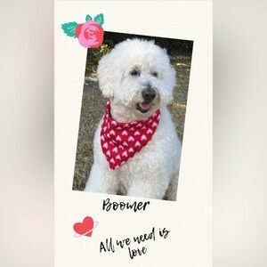 Don’t forget your Valentine!🩷❤️